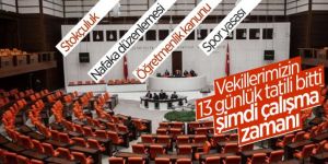 Meclis'te yeni yılın ilk mesaisi bugün başlıyor