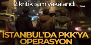 PKK'ya operasyon: 2 kritik isim yakalandı