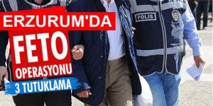 Erzurum merkezli 8 ilde FETÖ operasyonu: 3 tutuklama