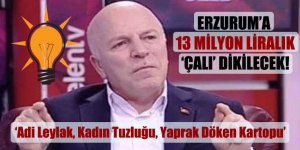 Erzurum’a 13 milyon liralık ‘çalı’ dikilecek