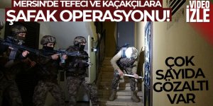 Mersin'de tefeci ve kaçakçılara şafak operasyonu