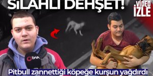 Otizmli gencin köpeğini pitbull zannederek silahla vurdu