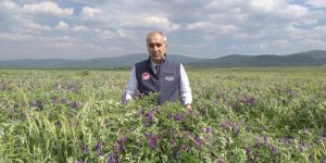 Tarımsal desteklemelerde rekor