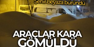 Yüksekova'da araçlar kara gömüldü