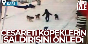 Kars'ta dehşet anları kamerada!