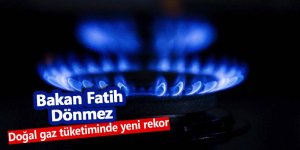 Doğal gaz tüketiminde rekor tazelendi!