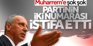 Mehmet Ali Çelebi: Parti görevlerimden istifa ediyorum