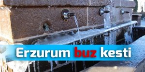 Erzurum'da dondurucu soğuklar