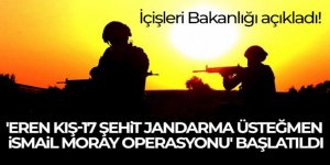 'Eren Kış-17 Şehit Jandarma Üsteğmen İsmail Moray Operasyonu' başlatıldı