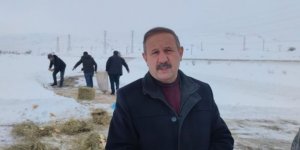 Aşkale'de sokak ve yaban hayvanları beslendi