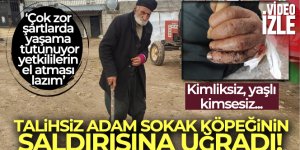 Mardin'de kimliksiz, yaşlı, kimsesiz adam 'sokak köpeği' saldırısına uğradı