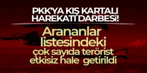 PKK'ya Kış Kartalı Harekatı darbesi!