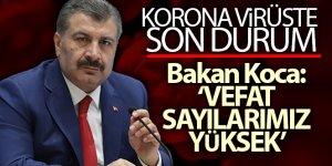 Son 24 saatte korona virüsten 248 kişi hayatını kaybetti