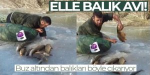 Buz altından elle balık çıkarıyor