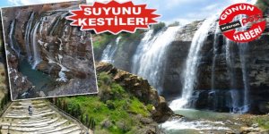 Erzurum'da Korkunç Doğa Katliamı