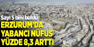 Erzurum yabancı nüfus verileri açıklandı