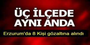 Terör örgütü propagandası yapan zanlılara eş zamanlı operasyon