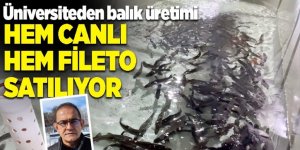 Atatürk Üniversitesi’nde yavru balık üretimi
