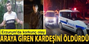 Erzurum'da korkunç cinayet:  kardeşini öldürdü