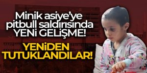 Asiye'ye pitbull saldırısında tahliye edilen 4 sanık tekrardan tutuklandı