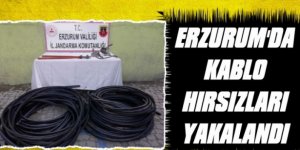 Erzurum'da kablo hırsızı 3 kişi yakalandı