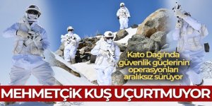 Mehmetçik Kato Dağı'nda 7 metreyi bulan karda vatan nöbetinde kuş uçurtmuyor