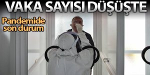 Türkiye'nin son 24 saatlik korona virüs tablosunu açıkladı