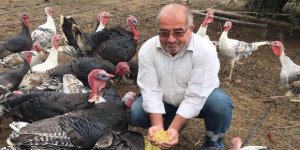Serttaş'dan tarımın gelişmesi için öneriler