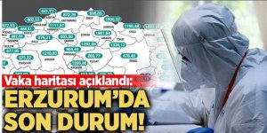 Erzurum'da haftalık vaka sayısı