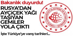 Rusya'dan Ayçiçek ayçiçek yağı taşıyan gemiler yola çıktı