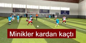 Minikler kardan kaçtı