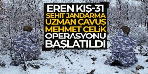 Diyarbakır'da 'Eren Kış-31 Operasyonu' başlatıldı