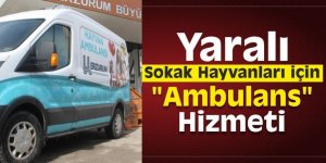 Erzurum'da bir eksiklik giderildi: Bu da hayvan ambulansı