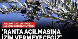 DEVA Partisi, 'zeytinlik' kararını Danıştay'a taşıdı