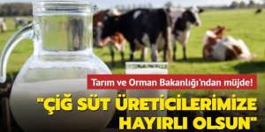 Tarım ve Orman Bakanlığı'ndan çiğ süt üreticilerine müjde! Destek arttırıldı