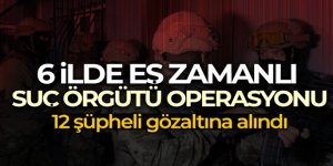İstanbul'da suç örgütü operasyonu