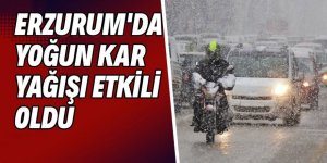 Erzurum'da kar yağışı etkili oldu