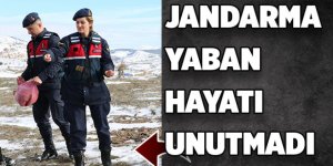 Jandarma yaban hayatı unutmadı
