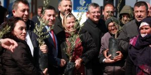 ÜRETİCİYE 3500 ADET ZEYTİN FİDANI HİBE EDİLDİ
