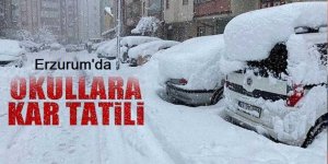 Erzurum'da üç ilçede kar tatili...