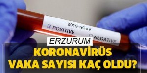Erzurum'da vaka sayısı açıklandı