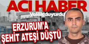 Erzurum'a şehit ateşi düştü