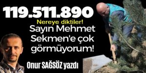Erzurum'a dikmişler: Tam 119.511.890 tane!
