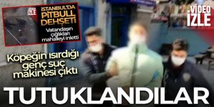 Pitbullun sahibi ve ısırdığı suç makinesi tutuklandı