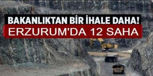 344 maden sahası için ihale açıldı: İşte o iller...