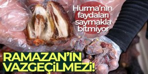 Hurma kanseri önlediği gibi tok tutuyor