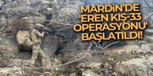 İçişleri Bakanlığı, Mardin'de 'Eren Kış-33 Operasyonu' başlattı