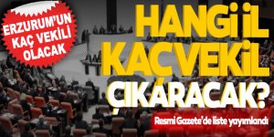 Resmi Gazete'de yayımlandı! Hangi il kaç milletvekili çıkaracak?