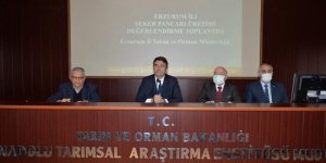Erzurum’da şeker pancarı üretimi değerlendirme toplantısı