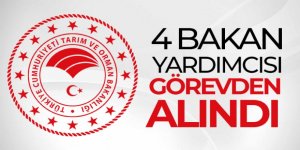 Bakan Yardımcılarına yönelik atama kararları Resmi Gazete'de